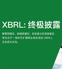 白皮书 – xbrl终极披露